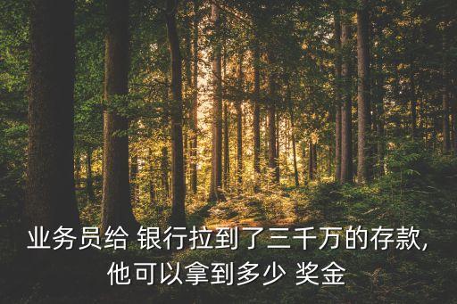 業(yè)務員給 銀行拉到了三千萬的存款,他可以拿到多少 獎金