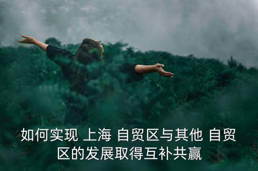 如何實(shí)現(xiàn) 上海 自貿(mào)區(qū)與其他 自貿(mào)區(qū)的發(fā)展取得互補(bǔ)共贏