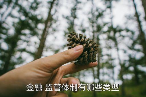 金融 監(jiān)管體制有哪些類型