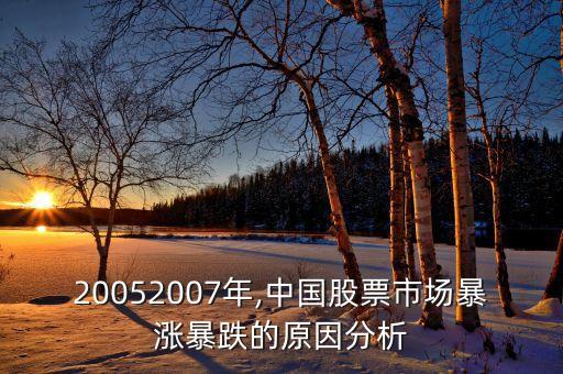 20052007年,中國股票市場暴漲暴跌的原因分析