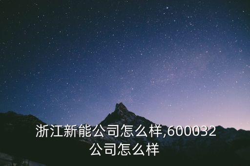  浙江新能公司怎么樣,600032公司怎么樣