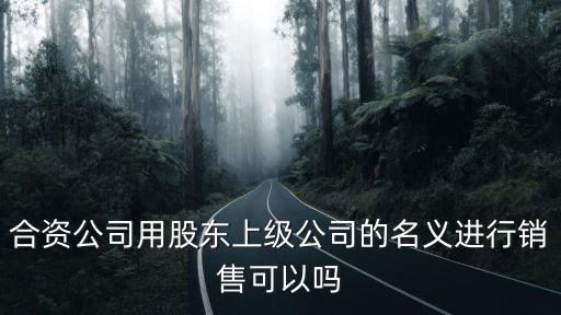 索尼公司章程,公司章程是什么樣子的圖片