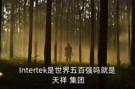 Intertek是世界五百強嗎就是 天祥 集團