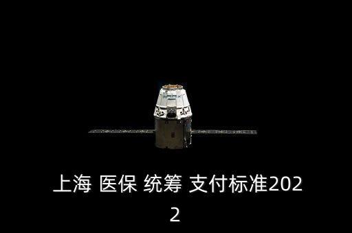  上海 醫(yī)保 統(tǒng)籌 支付標準2022