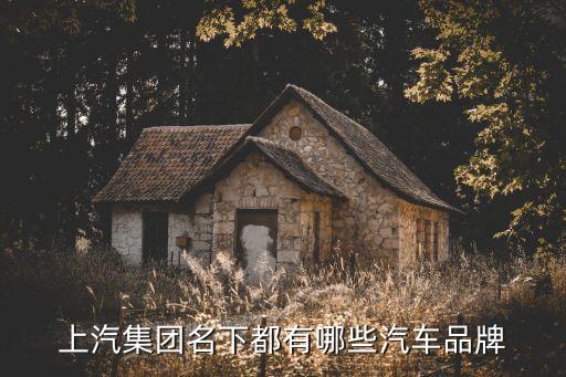 利馳租賃股份有限公司,中國康富國際租賃股份有限公司