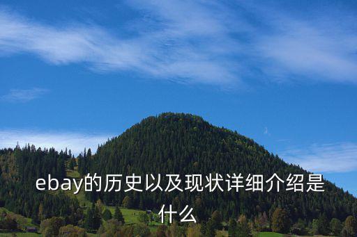 ebay退出中國(guó)了嗎