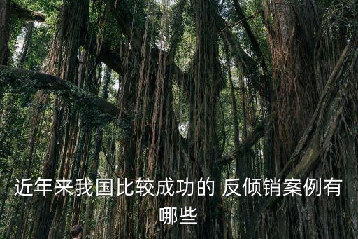 近年來(lái)我國(guó)比較成功的 反傾銷案例有哪些