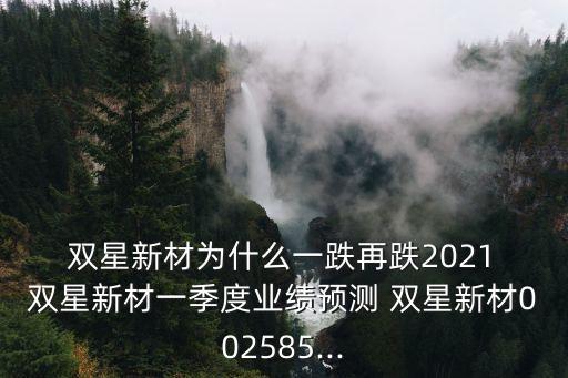  雙星新材為什么一跌再跌2021 雙星新材一季度業(yè)績預(yù)測 雙星新材002585...