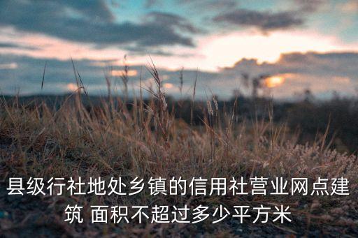 縣級(jí)行社地處鄉(xiāng)鎮(zhèn)的信用社營(yíng)業(yè)網(wǎng)點(diǎn)建筑 面積不超過多少平方米