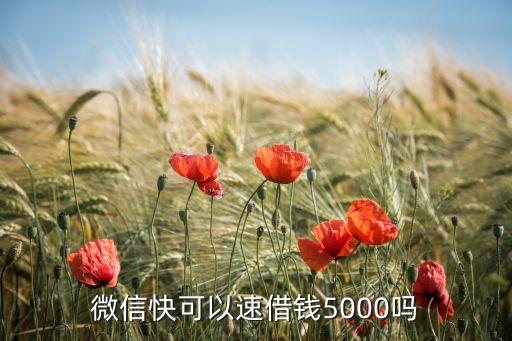 微信快可以速借錢5000嗎