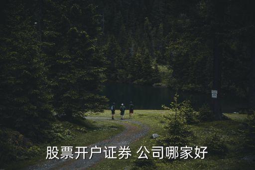 股票開戶證券 公司哪家好