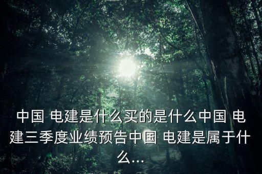 中國電建集團攀枝花新能源公司