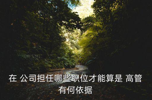 公司董事是高管嗎,公司高管職務(wù)排名順序