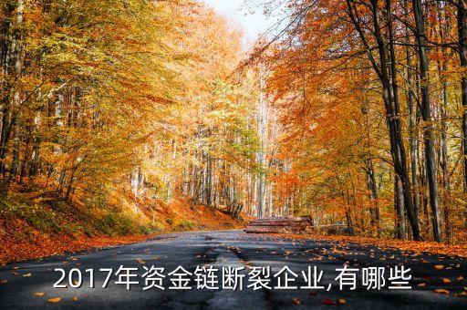 2017年資金鏈斷裂企業(yè),有哪些