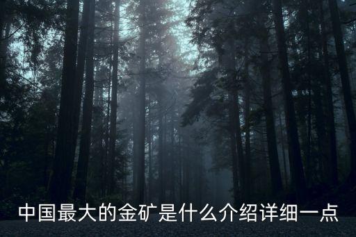 中國(guó)最大的金礦是什么介紹詳細(xì)一點(diǎn)