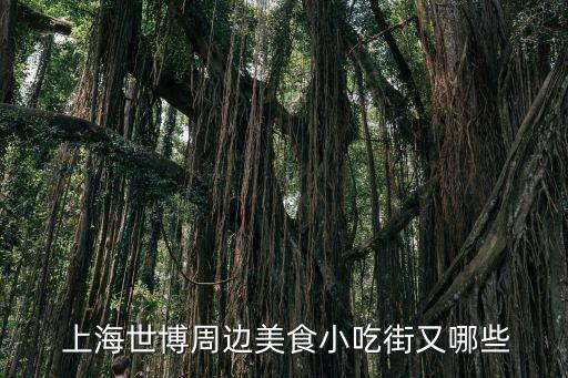 上海滿蘇實業(yè)有限公司,上海蘇觀實業(yè)有限公司