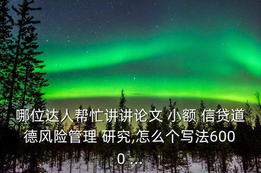 哪位達(dá)人幫忙講講論文 小額 信貸道德風(fēng)險(xiǎn)管理 研究,怎么個(gè)寫法6000 ...