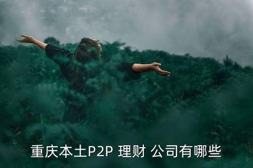 重慶本土P2P 理財(cái) 公司有哪些