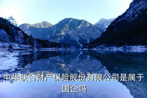 中華聯(lián)合財產(chǎn)保險股份有限公司是屬于 國企嗎