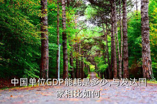 中國(guó)單位GDP能耗是多少,與發(fā)達(dá)國(guó)家相比如何