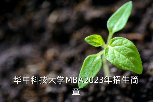 華中科技大學MBA2023年招生簡章