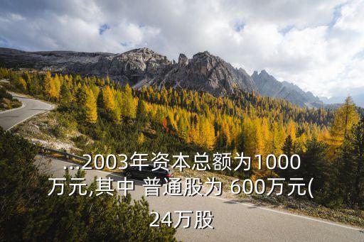 ...2003年資本總額為1000萬元,其中 普通股為 600萬元(24萬股