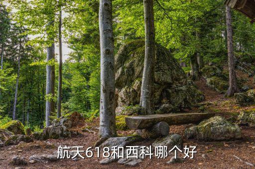 29所西科公司,西科知識(shí)產(chǎn)權(quán)公司