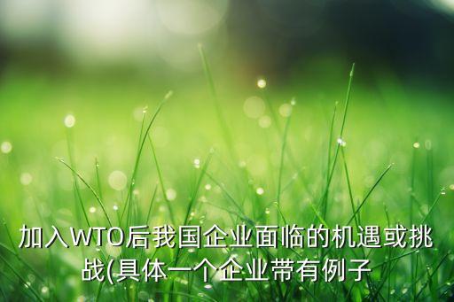 加入WTO后我國企業(yè)面臨的機遇或挑戰(zhàn)(具體一個企業(yè)帶有例子