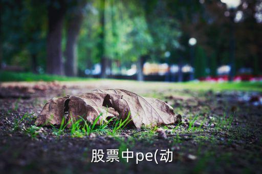  股票中pe(動