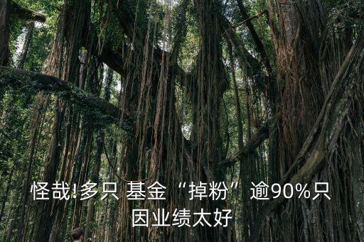 怪哉!多只 基金“掉粉”逾90%只因業(yè)績(jī)太好