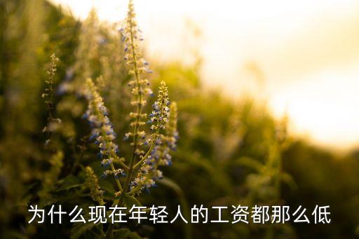 為什么現(xiàn)在年輕人的工資都那么低