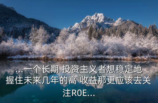 ...一個(gè)長期 投資主義者想穩(wěn)定地握住未來幾年的高 收益那更應(yīng)該去關(guān)注R0E...