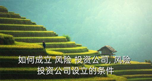 如何成立 風(fēng)險(xiǎn) 投資公司, 風(fēng)險(xiǎn) 投資公司設(shè)立的條件