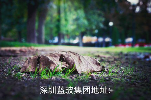 深圳藍玻集團地址: