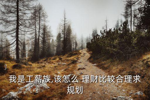 我是工薪族,該怎么 理財比較合理求規(guī)劃