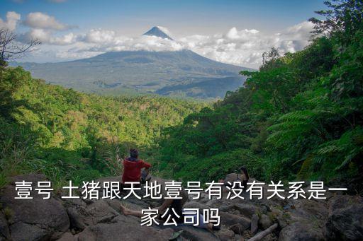 壹號 土豬跟天地壹號有沒有關系是一家公司嗎