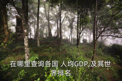 在哪里查詢各國(guó) 人均GDP,及其世界排名