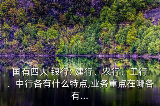 國有四大 銀行: 建行、農(nóng)行、工行、中行各有什么特點,業(yè)務(wù)重點在哪各有...