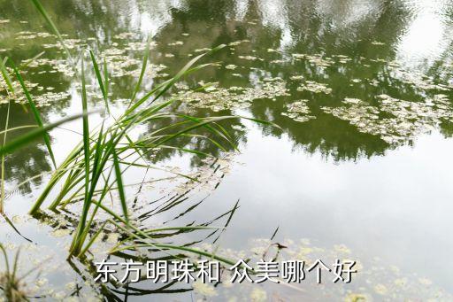 上海眾美窩窩,上海兔窩窩親子樂(lè)園