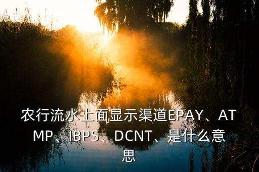 農(nóng)行流水上面顯示渠道EPAY、ATMP、IBPS、DCNT、是什么意思