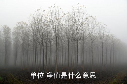 單位 凈值是什么意思