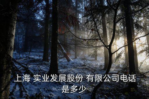 上海公房實業(yè)有限公司,上海南棠實業(yè)有限公司