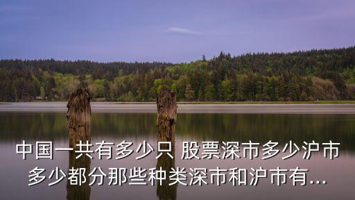 中國(guó)一共有多少只 股票深市多少滬市多少都分那些種類深市和滬市有...