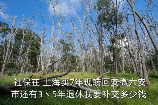  社保在 上海買7年現(xiàn)轉(zhuǎn)回安微六安市還有3丶5年退休我要補(bǔ)交多少錢