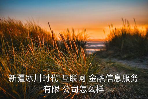 新疆冰川時代 互聯(lián)網(wǎng) 金融信息服務(wù)有限 公司怎么樣