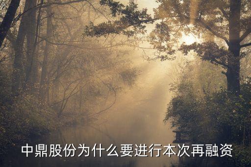 新疆中鼎投資有限公司,海南中鼎偉業(yè)投資集團(tuán)有限公司