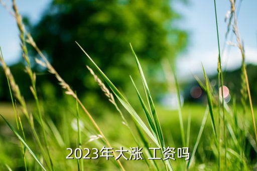 2023年大漲 工資嗎