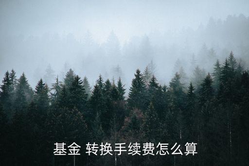  基金 轉(zhuǎn)換手續(xù)費怎么算