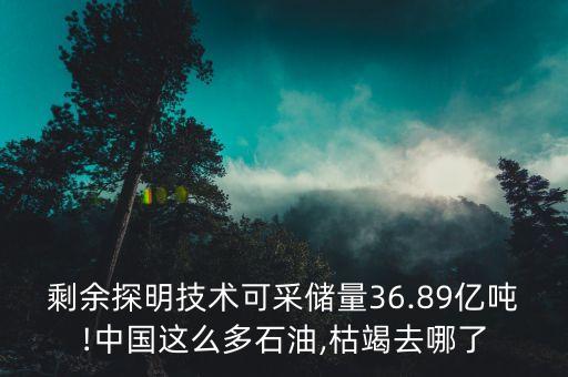 中國(guó)并不需要那么多原油