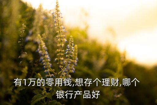 有1萬的零用錢,想存?zhèn)€理財(cái),哪個(gè) 銀行產(chǎn)品好